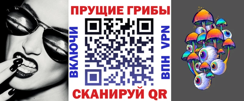 наркота  Приволжский  Псилоцибиновые грибы Psilocybe 